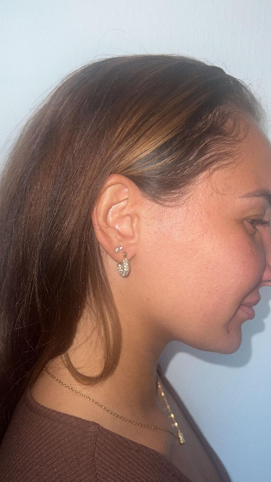 Boucles d'oreilles créoles délicates plaquées or 18 carats KARIN avec pierres CZ étincelantes